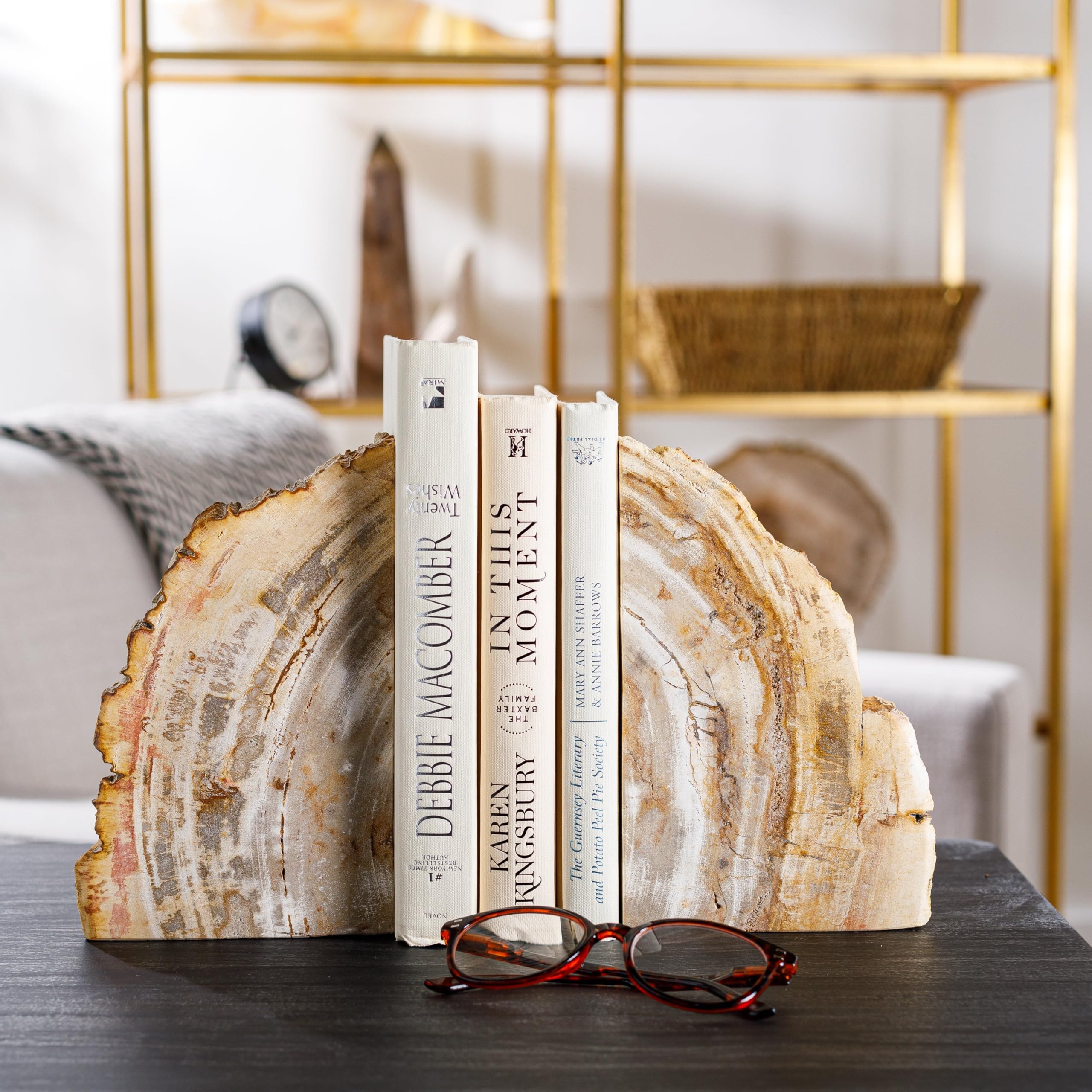 Amazon.com: KALIFANO Petrified Wood Bookends Set - Real Natural